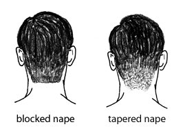 Sketch of blocked nape on left and tapered nape on right. 