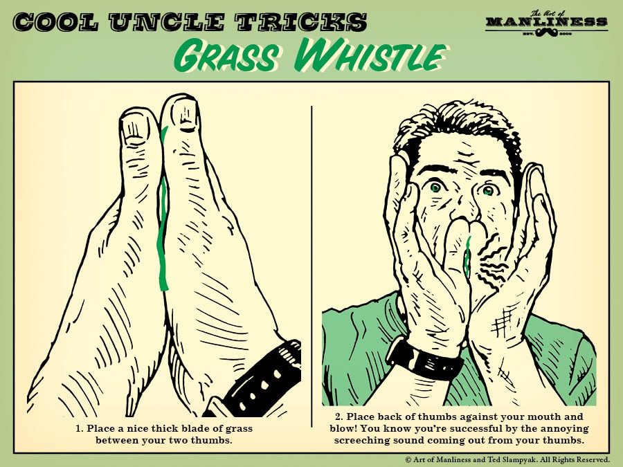 1. Place a nice thick blade of grass between your thumbs. 2. Place back of thumbs against your mouth and blow! You know you're successful by the annoying screeching sound.