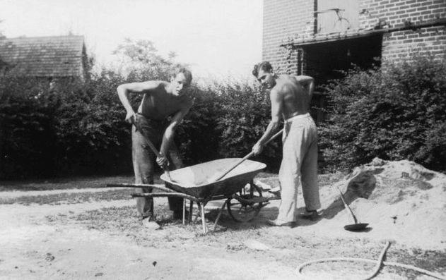 Vintage men doing yard work manual labor shovels in wheelbarrow.